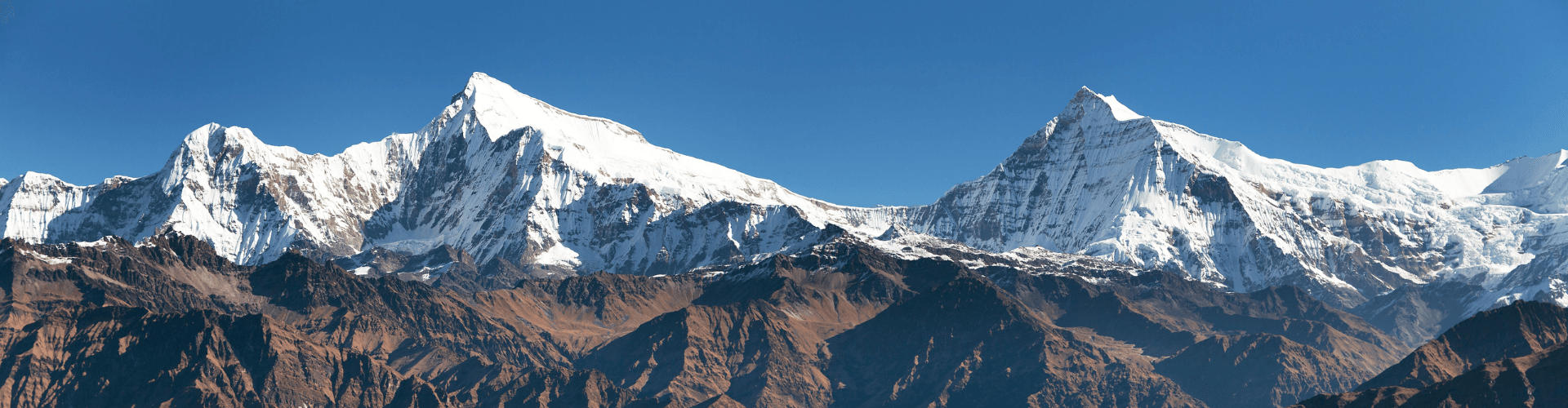 CX Global Support team collaborating